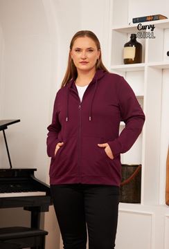 Immagine di CURVY GIRL SWEATER WITH HOOD